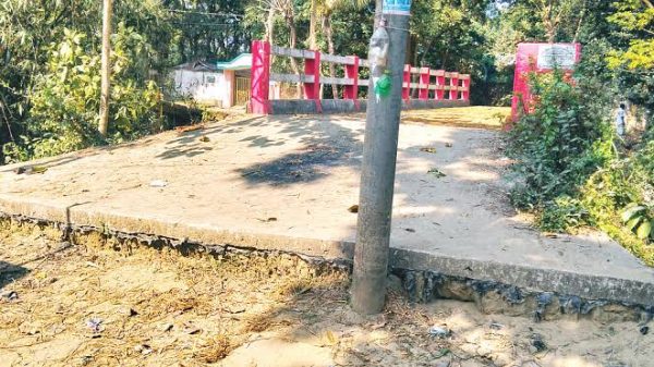 ছবি কৃতজ্ঞতাঃ দৈনিক প্রথম আলো।